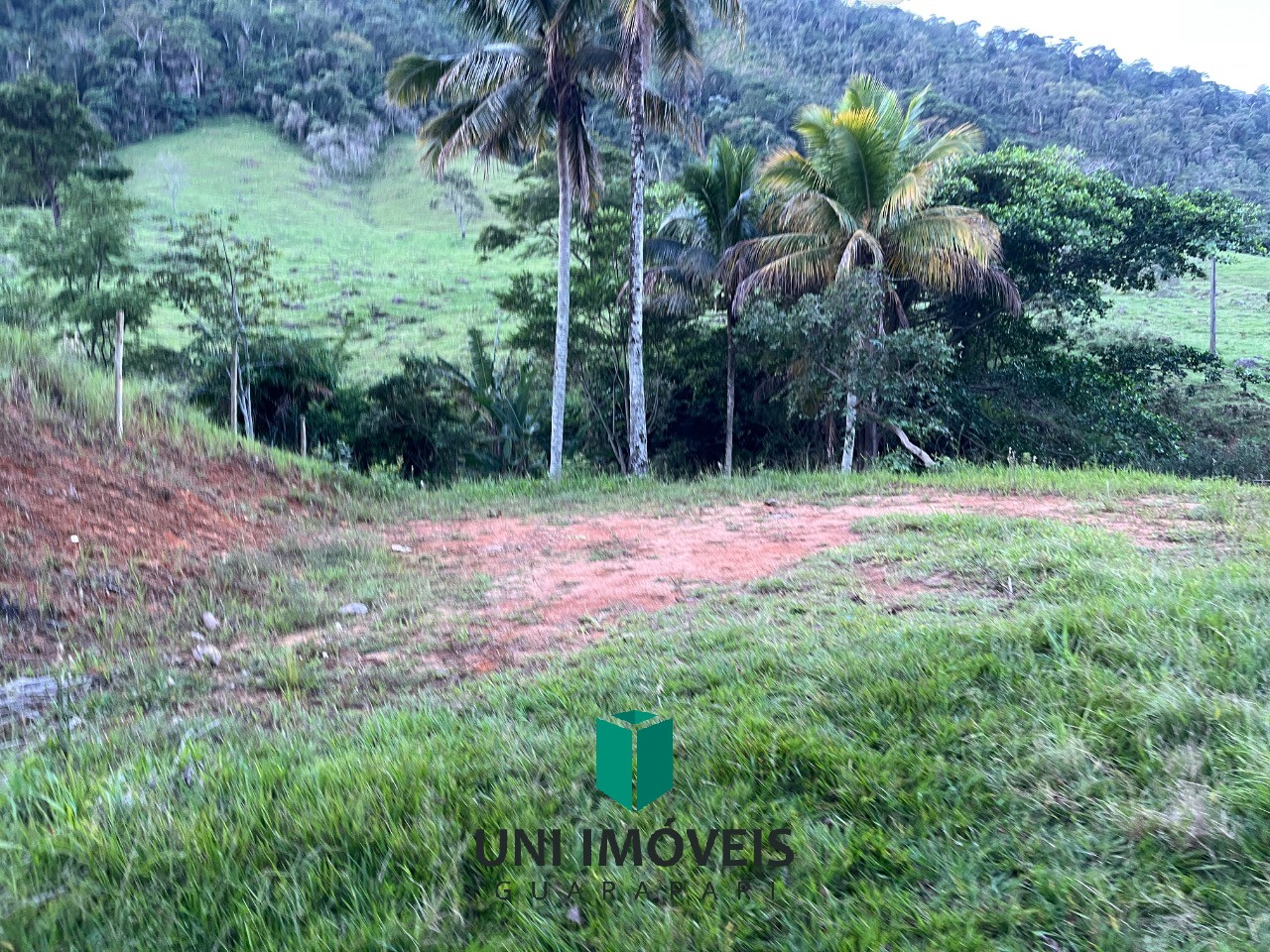 Fazenda, 2 hectares - Foto 3