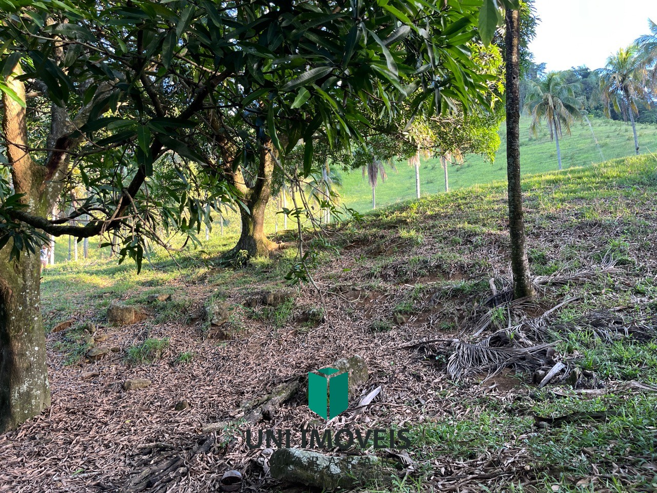 Fazenda, 2 hectares - Foto 19