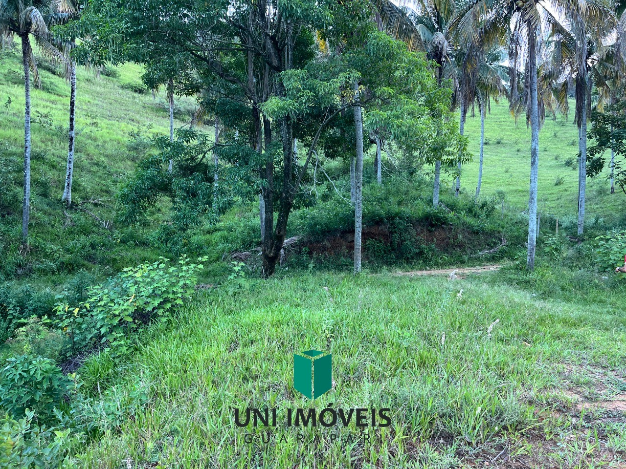 Fazenda, 2 hectares - Foto 28
