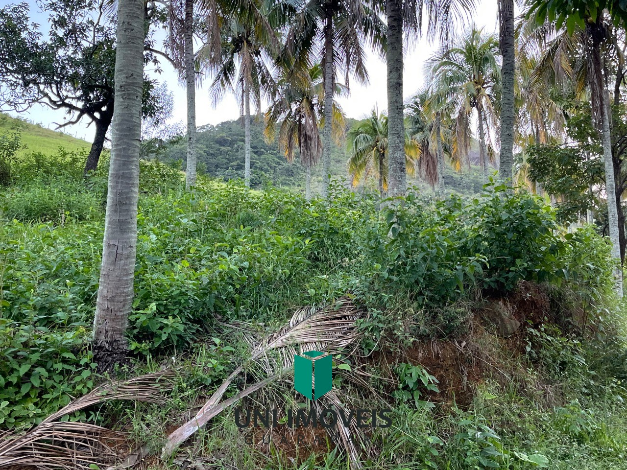Fazenda, 2 hectares - Foto 23