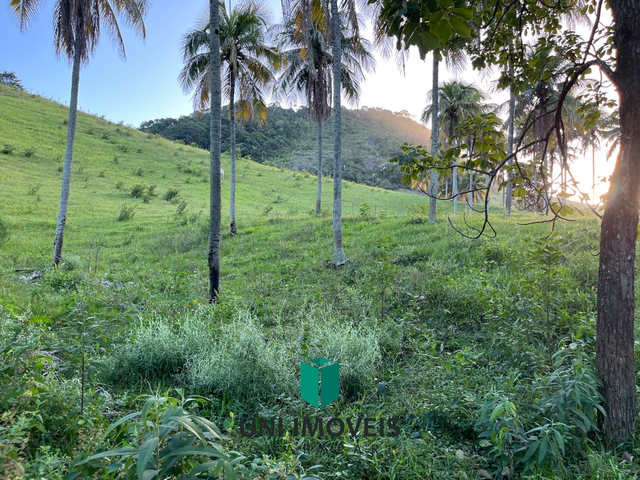 Fazenda, 2 hectares - Foto 6