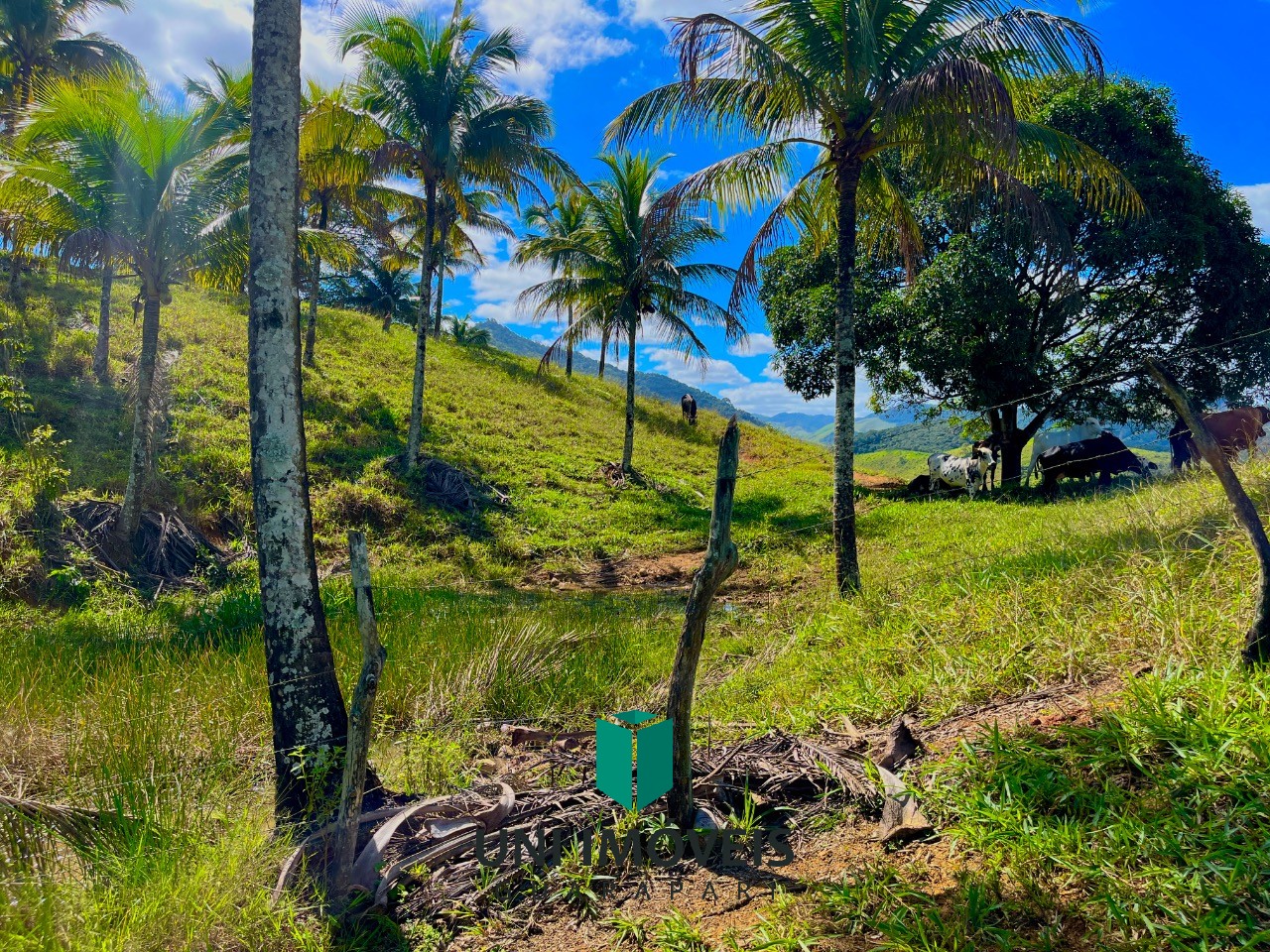 Fazenda, 2 hectares - Foto 10