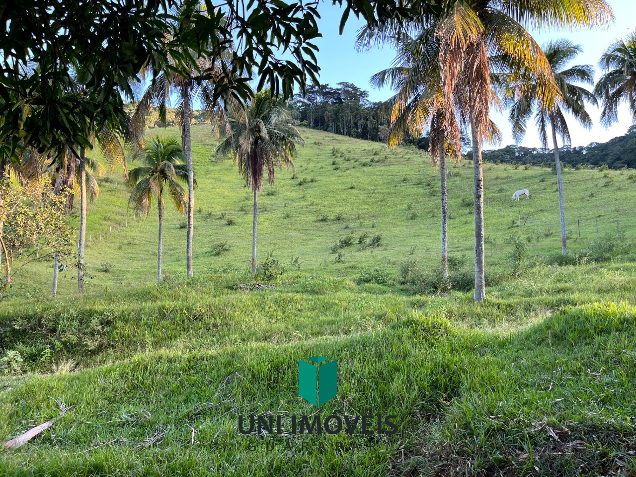 Fazenda, 2 hectares - Foto 11
