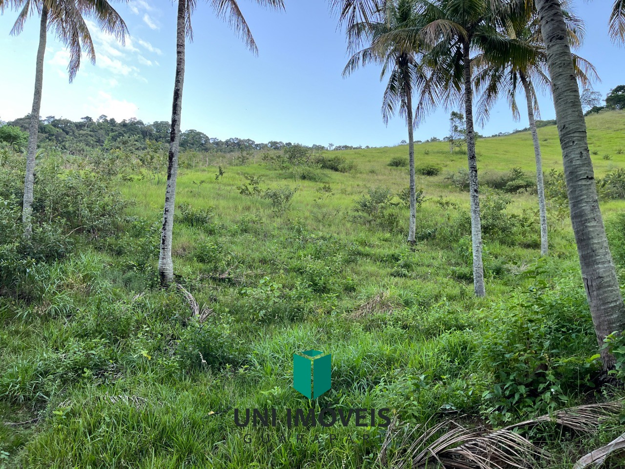 Fazenda, 2 hectares - Foto 26