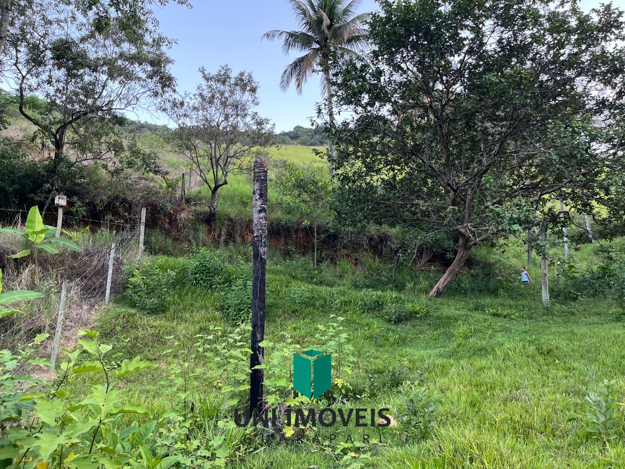 Fazenda, 2 hectares - Foto 17