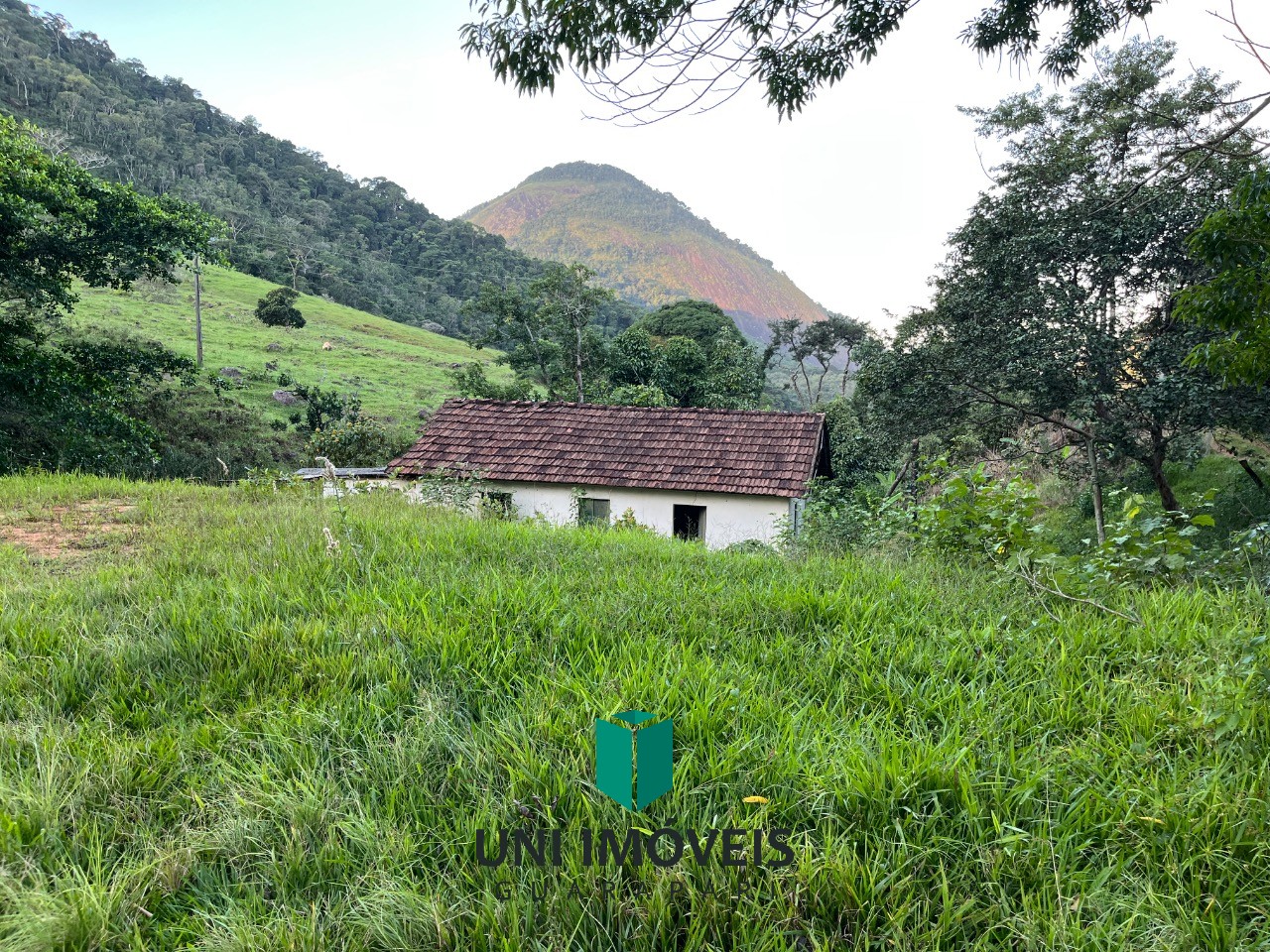 Fazenda, 2 hectares - Foto 7
