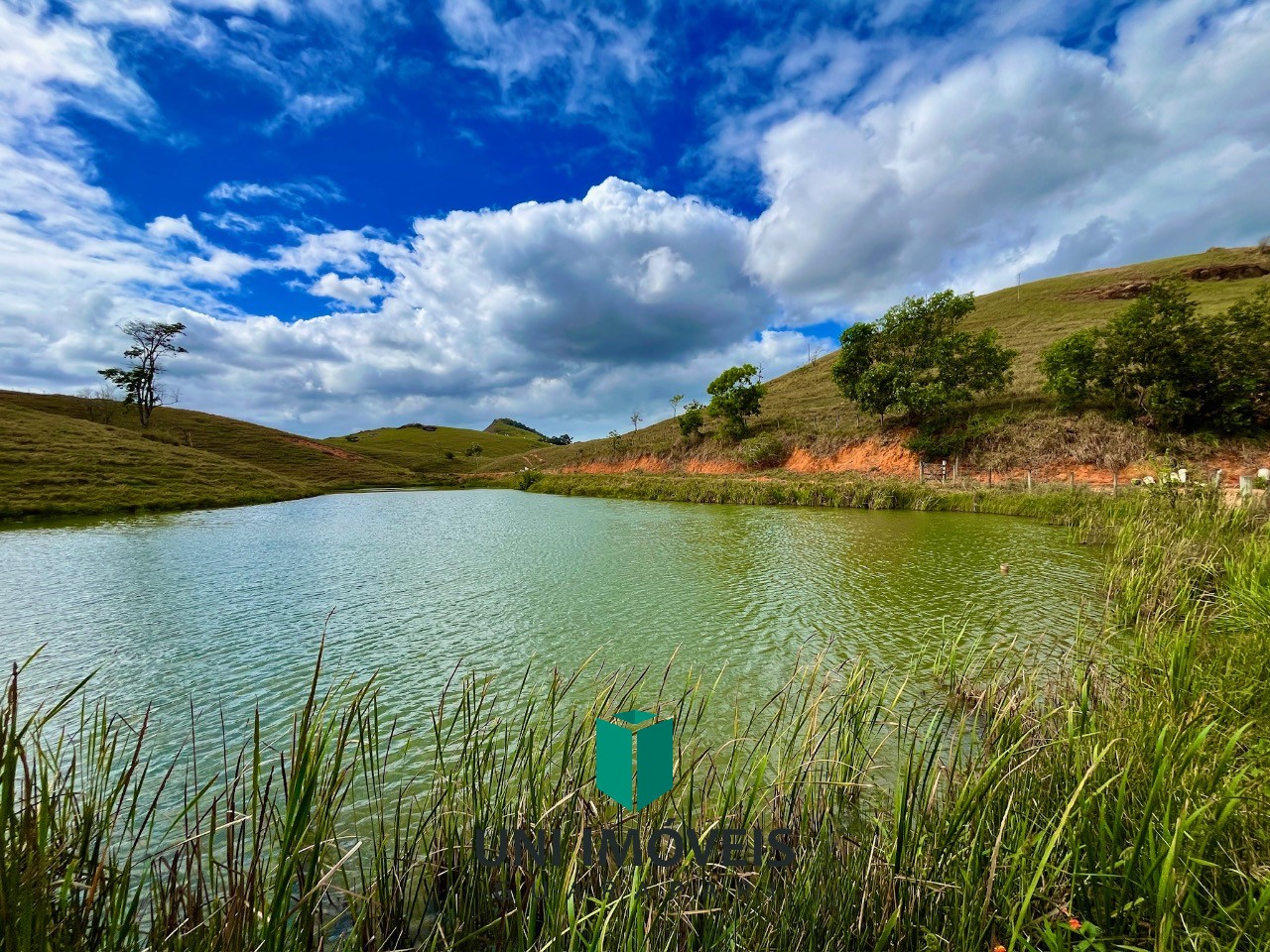 Fazenda, 48 hectares - Foto 22