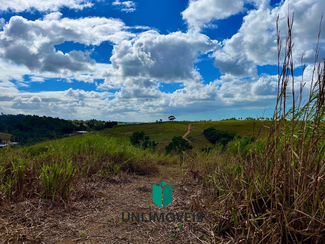 Fazenda, 48 hectares - Foto 40