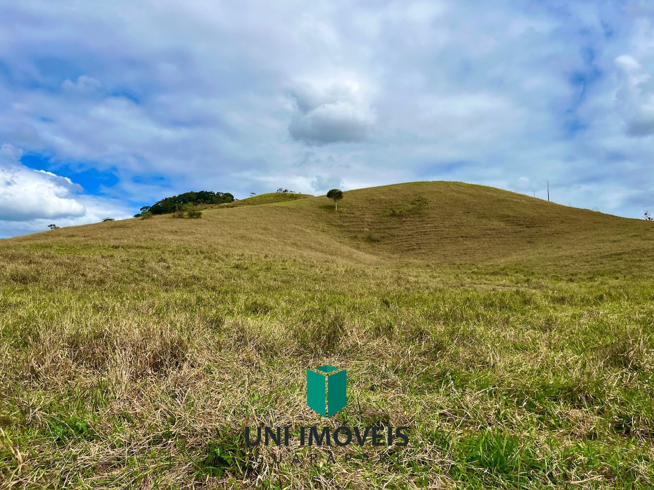 Fazenda, 48 hectares - Foto 18