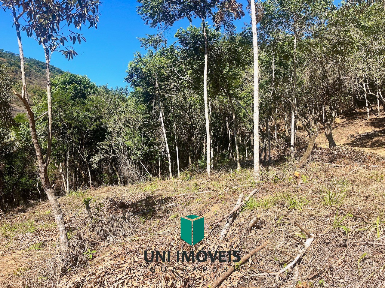 Terreno, 1000 m² - Foto 6