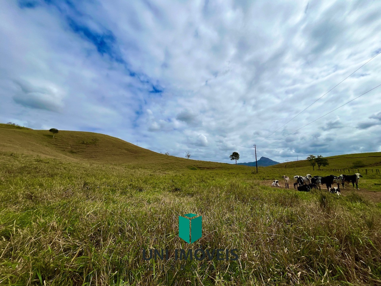 Fazenda, 48 hectares - Foto 16