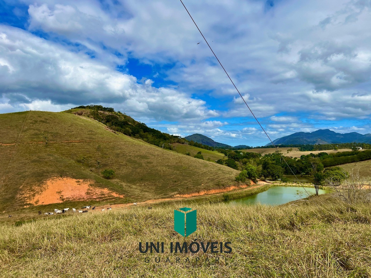 Fazenda, 48 hectares - Foto 17