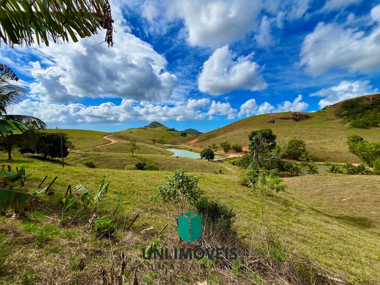 Fazenda, 48 hectares - Foto 47