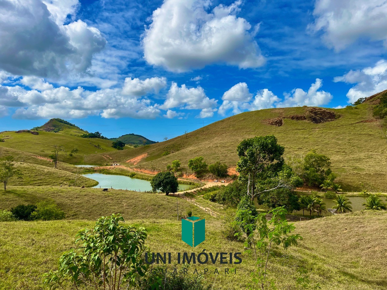 Fazenda, 48 hectares - Foto 46