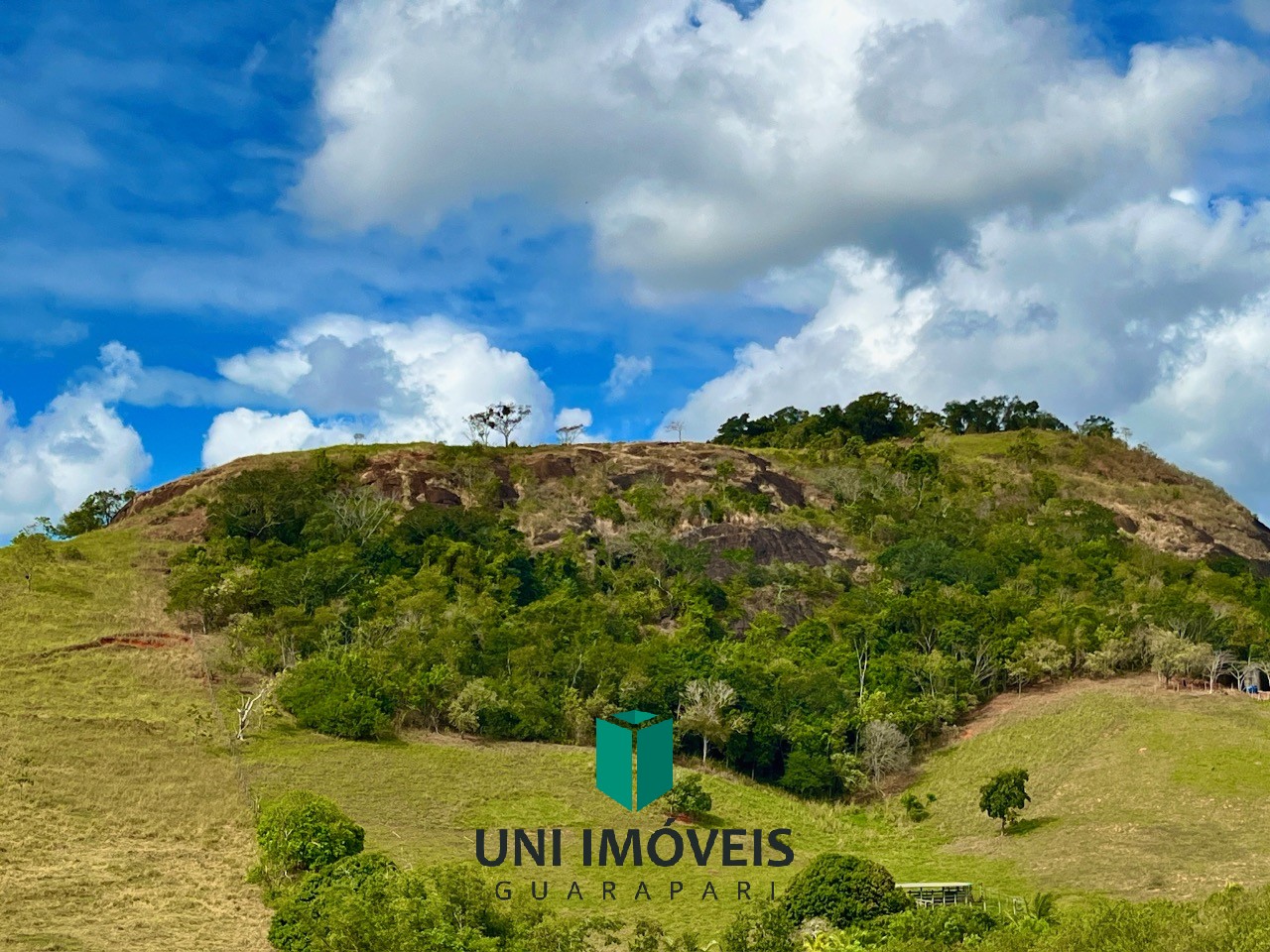 Fazenda, 48 hectares - Foto 48
