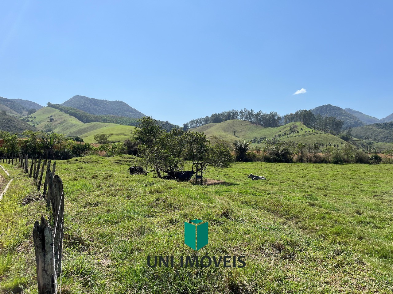 Fazenda, 1 hectares - Foto 7
