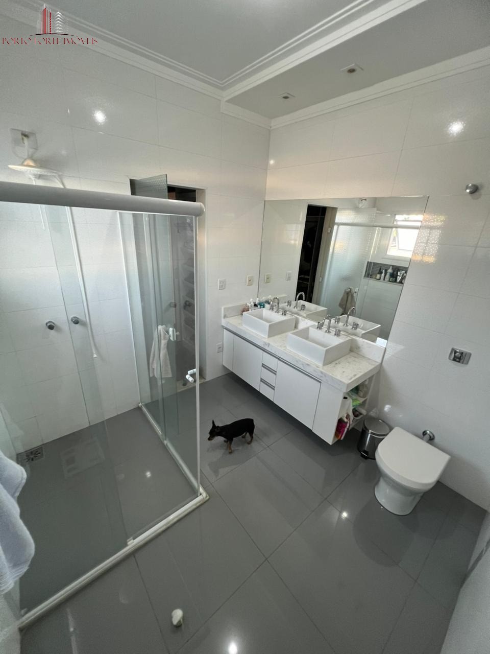 Casa, 4 quartos, 300 m² - Foto 6