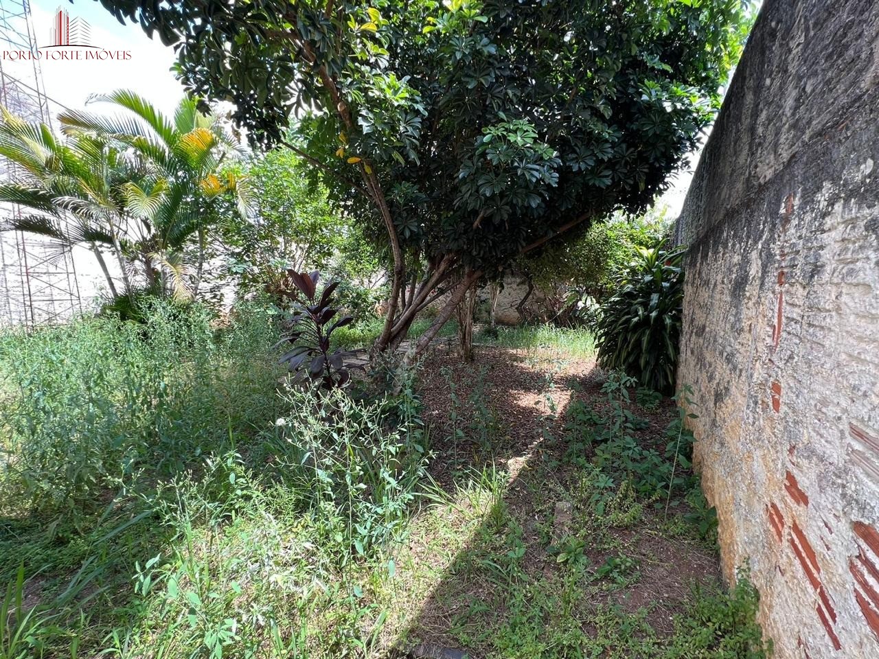 Casa, 3 quartos, 479 m² - Foto 19