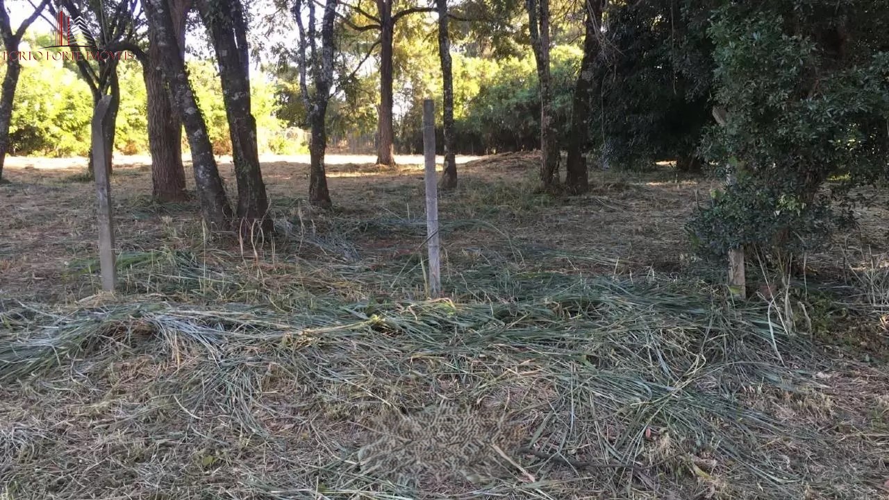 Terreno, 5000 m² - Foto 4