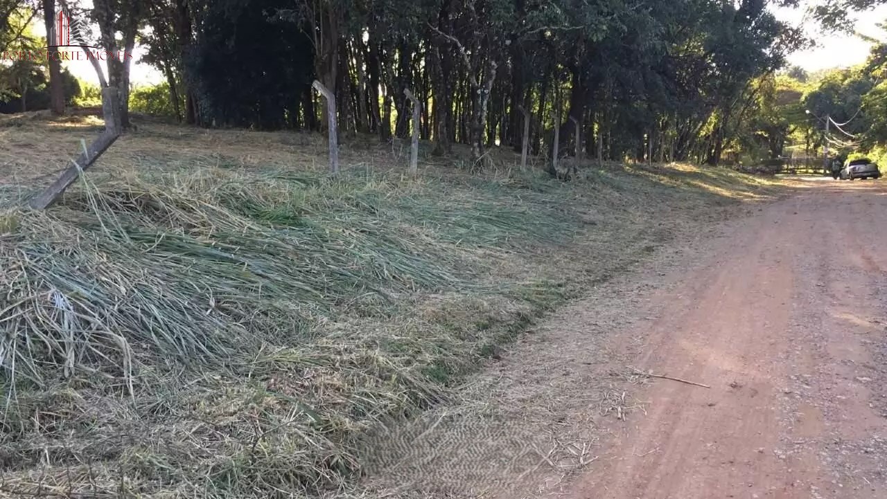 Terreno, 5000 m² - Foto 2