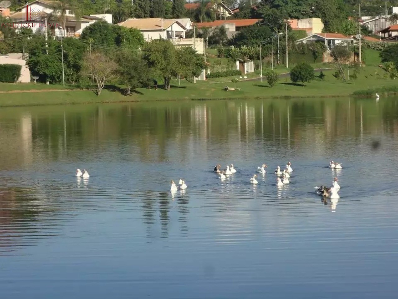 Terreno, 5000 m² - Foto 10