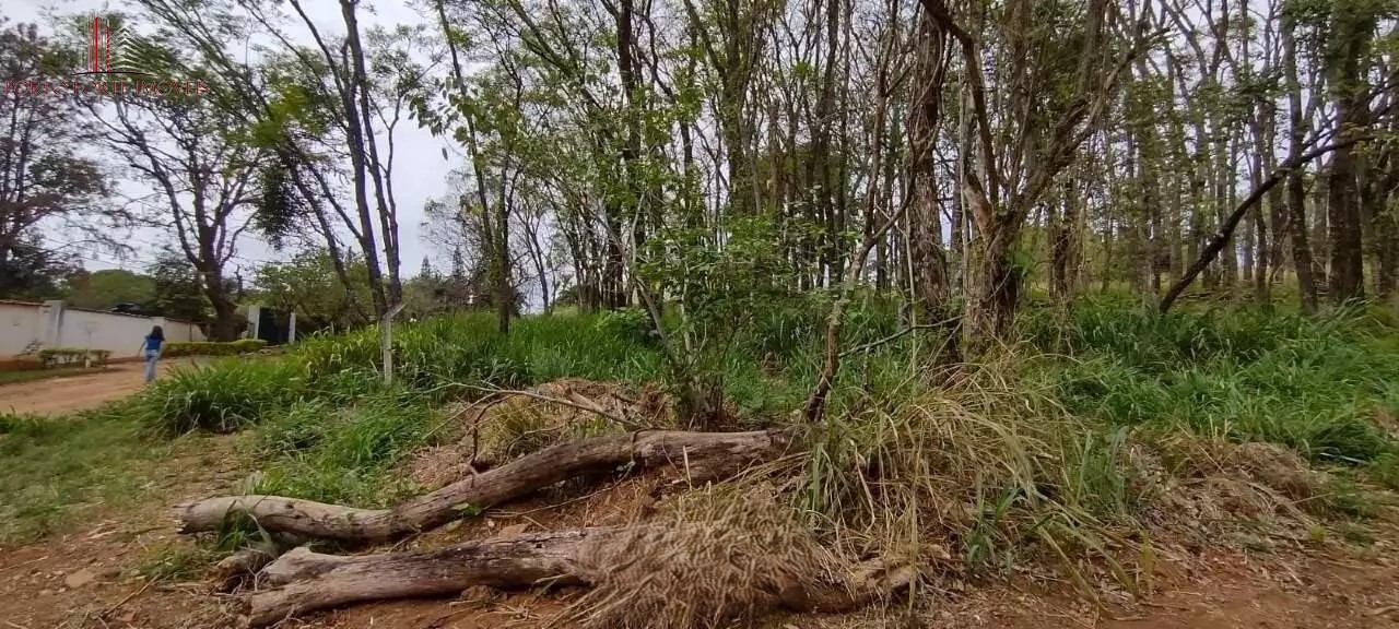 Terreno, 5000 m² - Foto 5