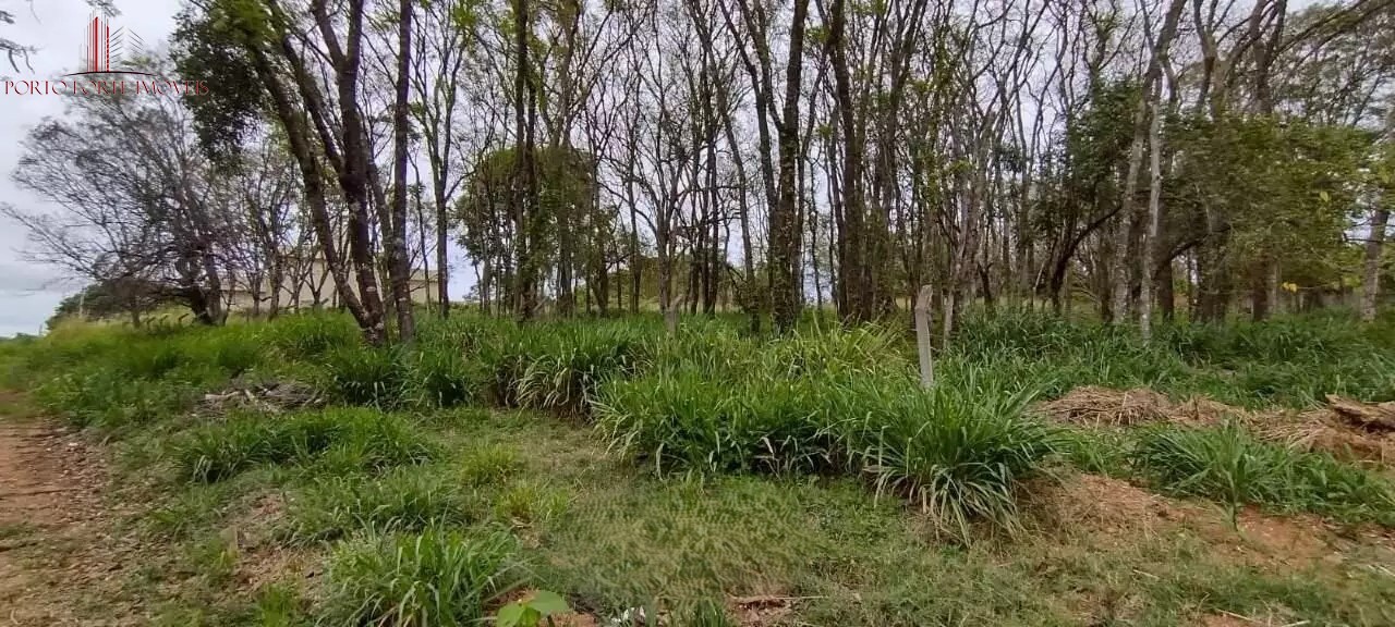 Terreno, 5000 m² - Foto 7