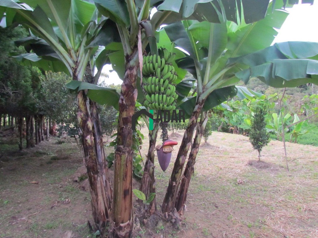 Chacara residencial em ibiúna - sp, campininha - foto 27
