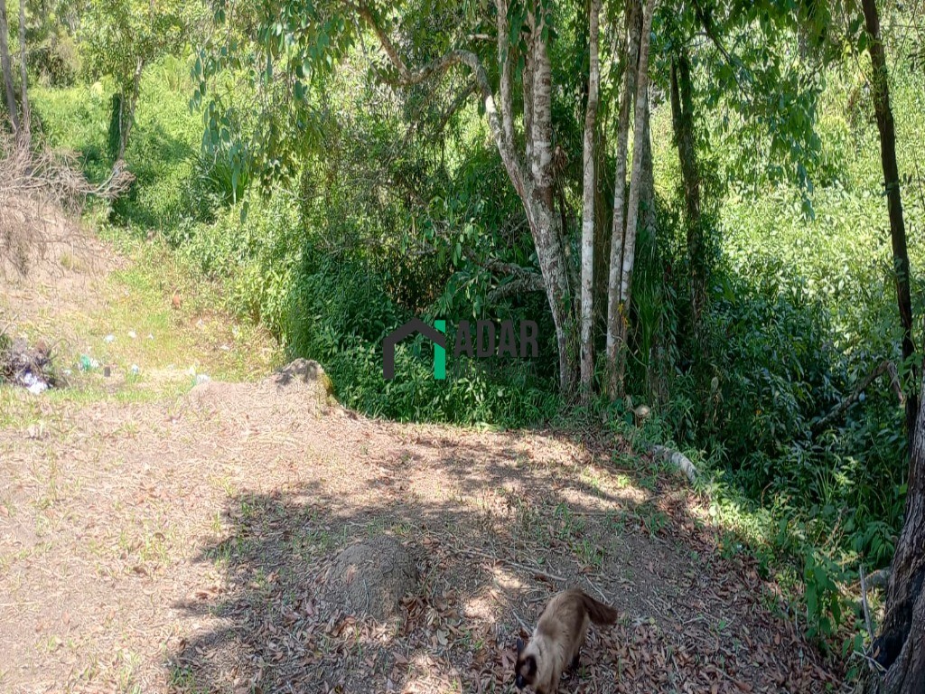 Chacara residencial em ibiúna - sp, campininha