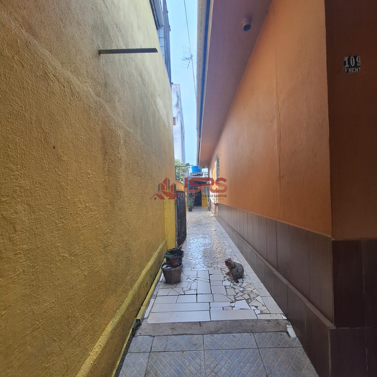 Casa, 3 quartos, 141 m² - Foto 23