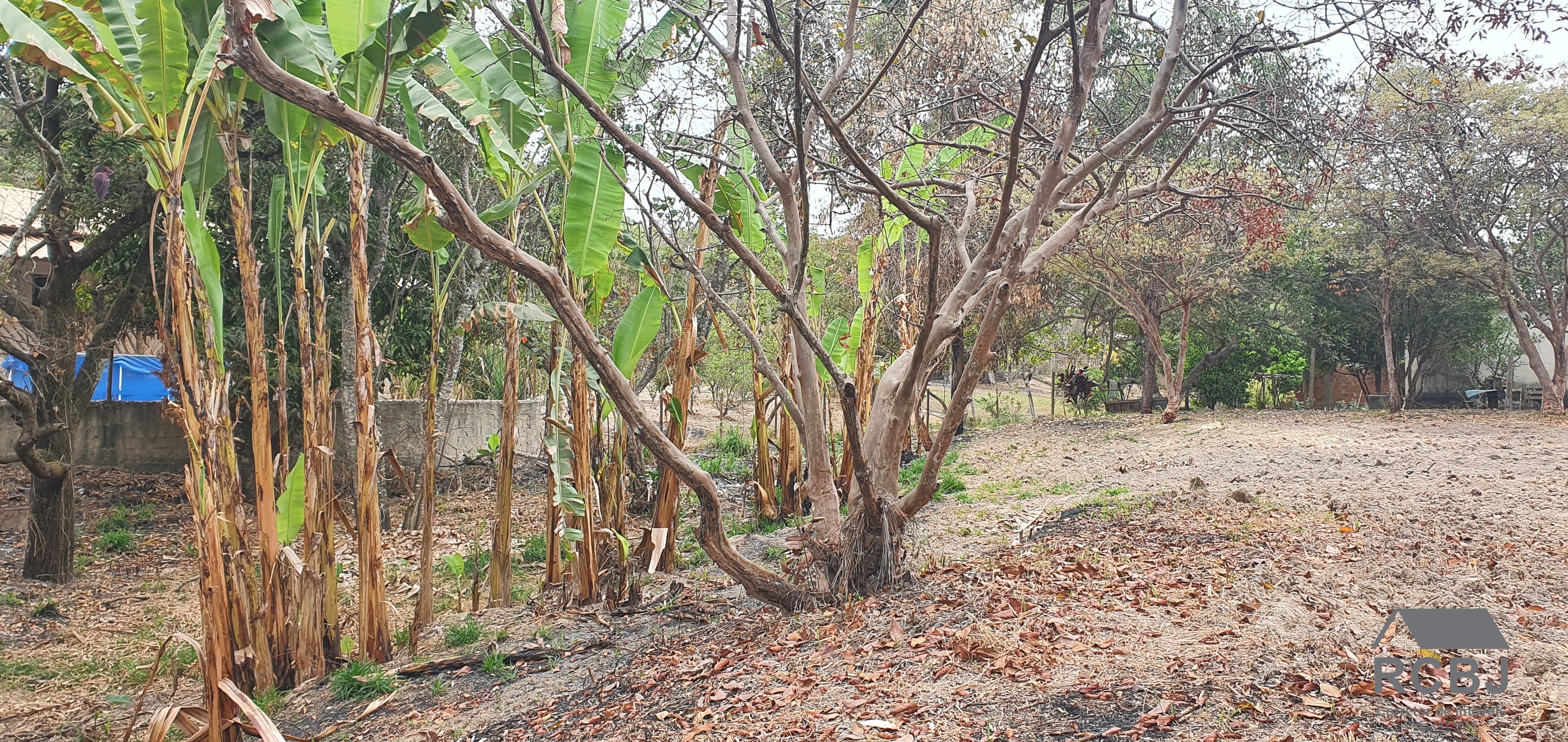Terreno residencial em esmeraldas - mg, andiroba