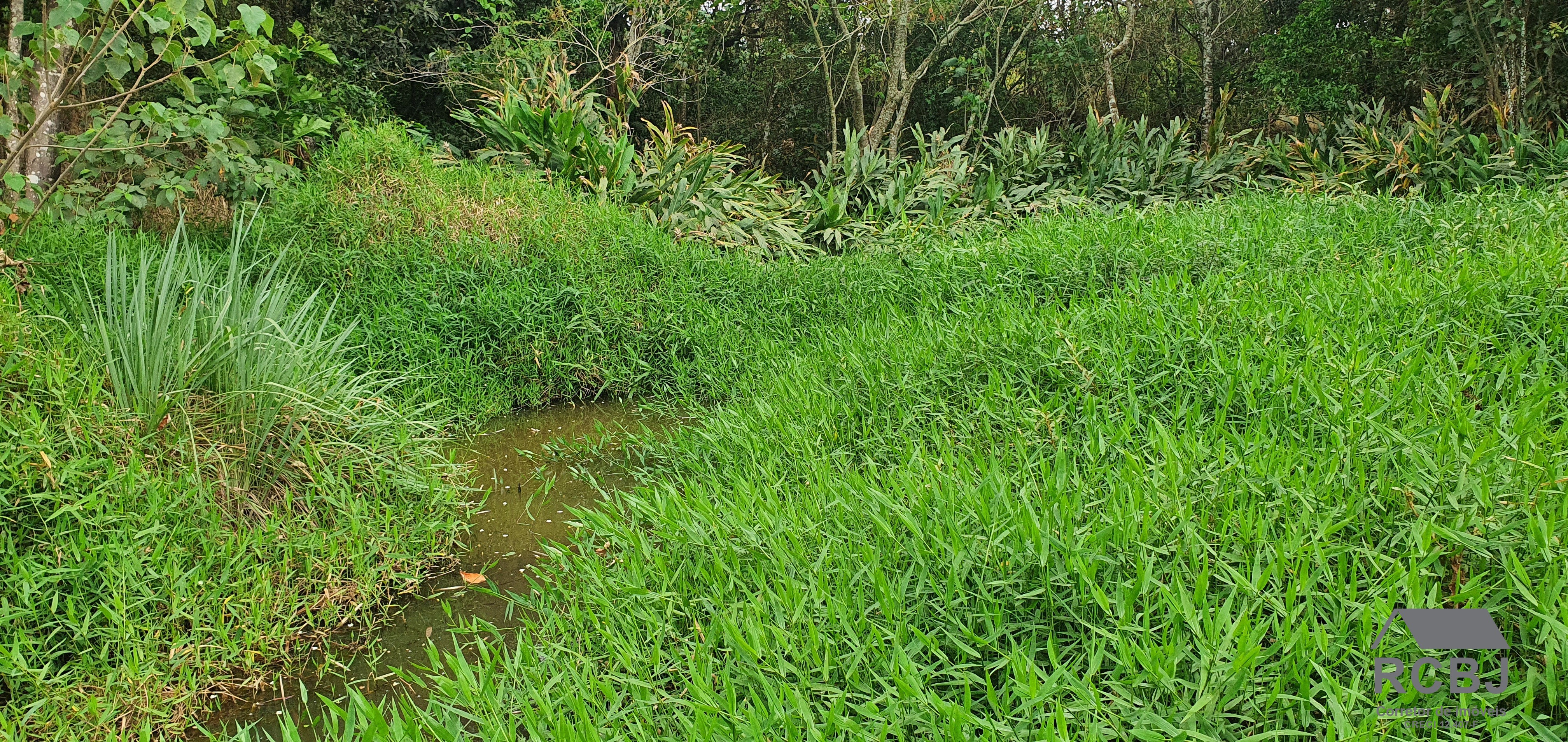 Terreno residencial em esmeraldas - mg, andiroba