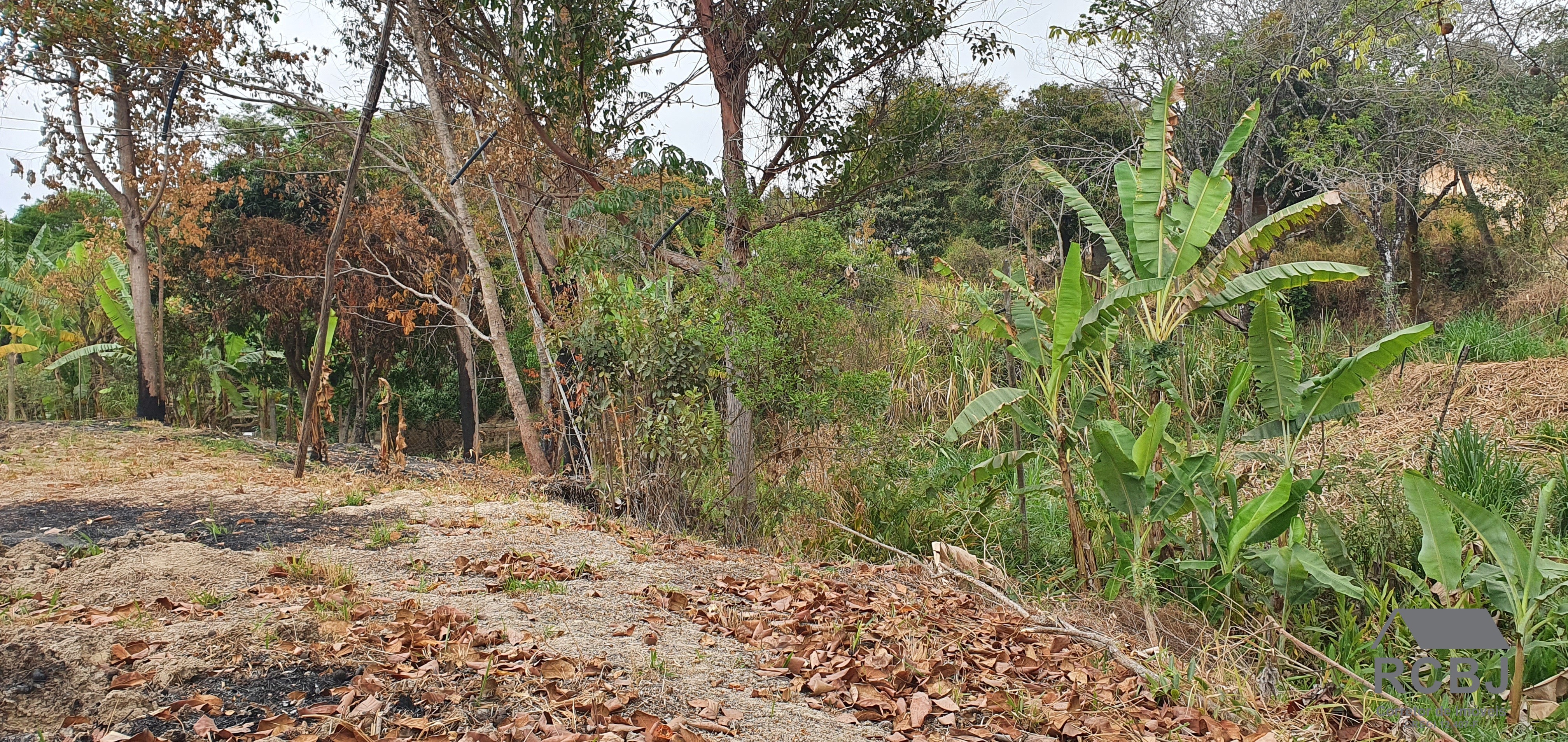 Terreno residencial em esmeraldas - mg, andiroba