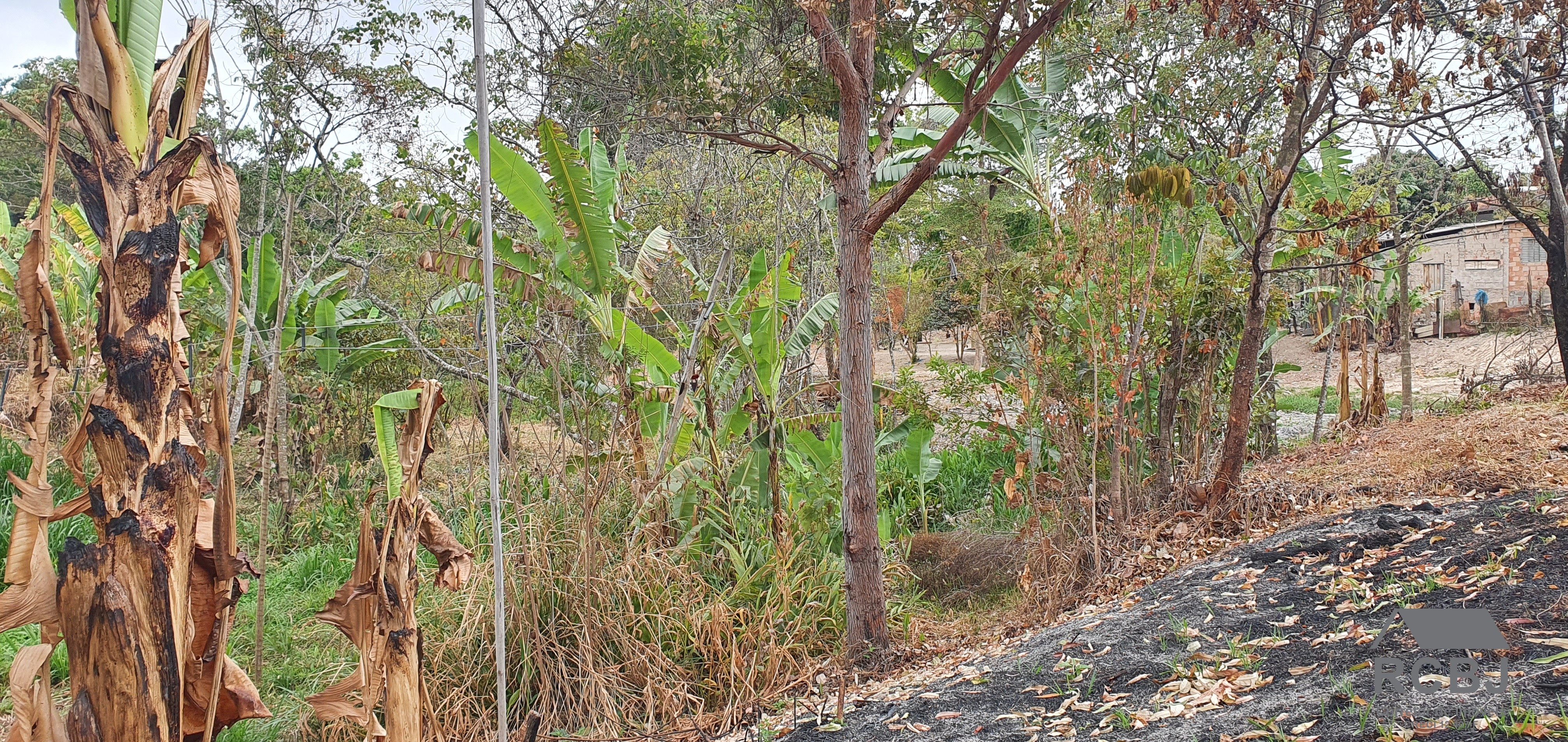 Terreno residencial em esmeraldas - mg, andiroba