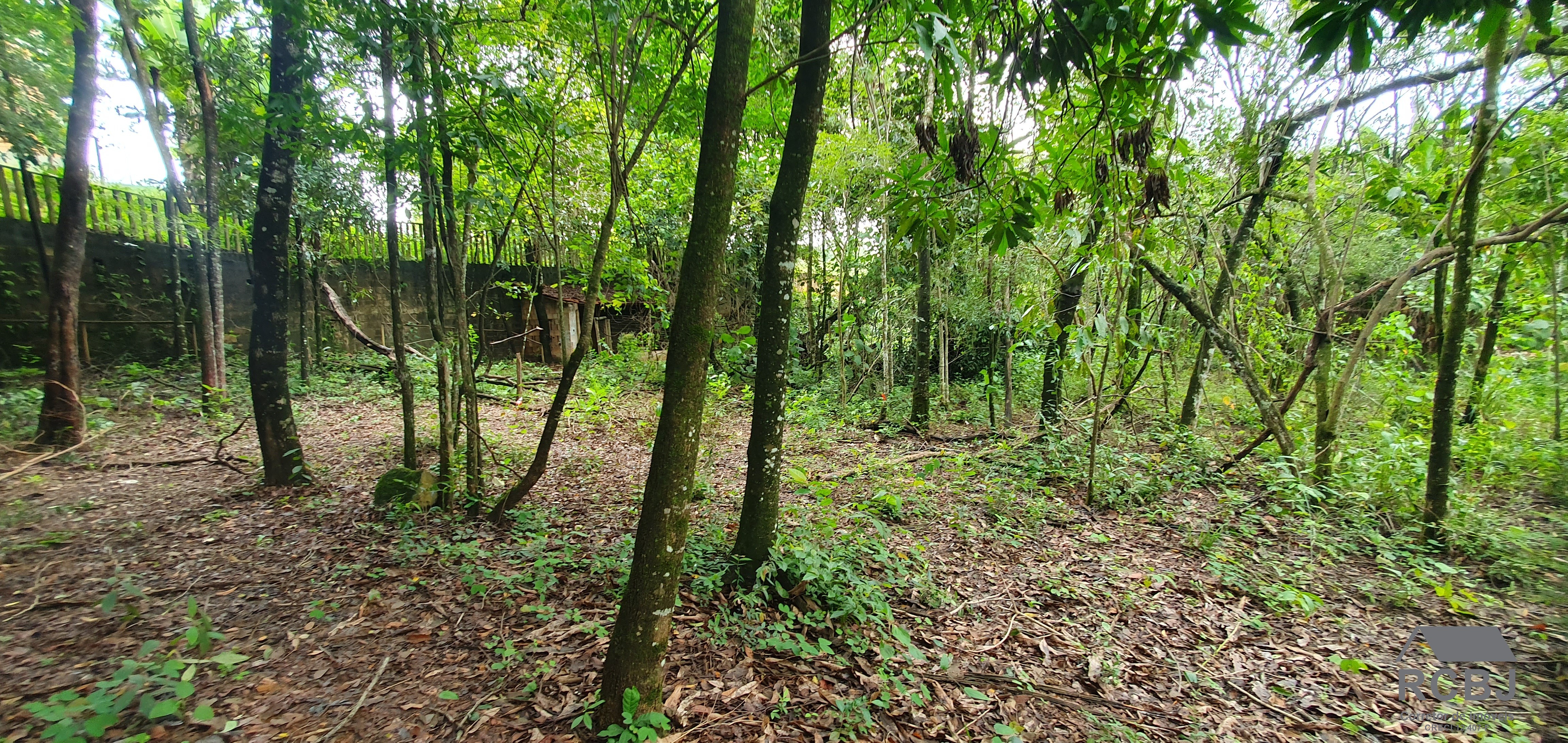 Sítio, 9 quartos - Foto 10
