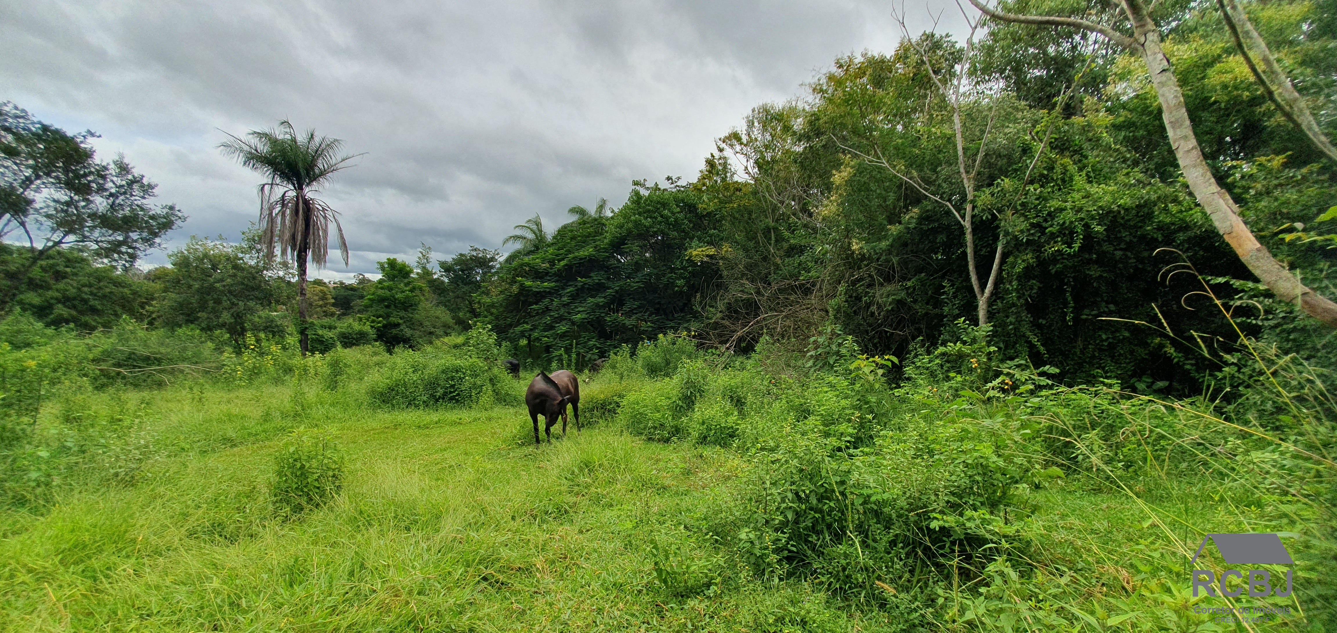 Terreno comercial em esmeraldas - mg, cidade jardim