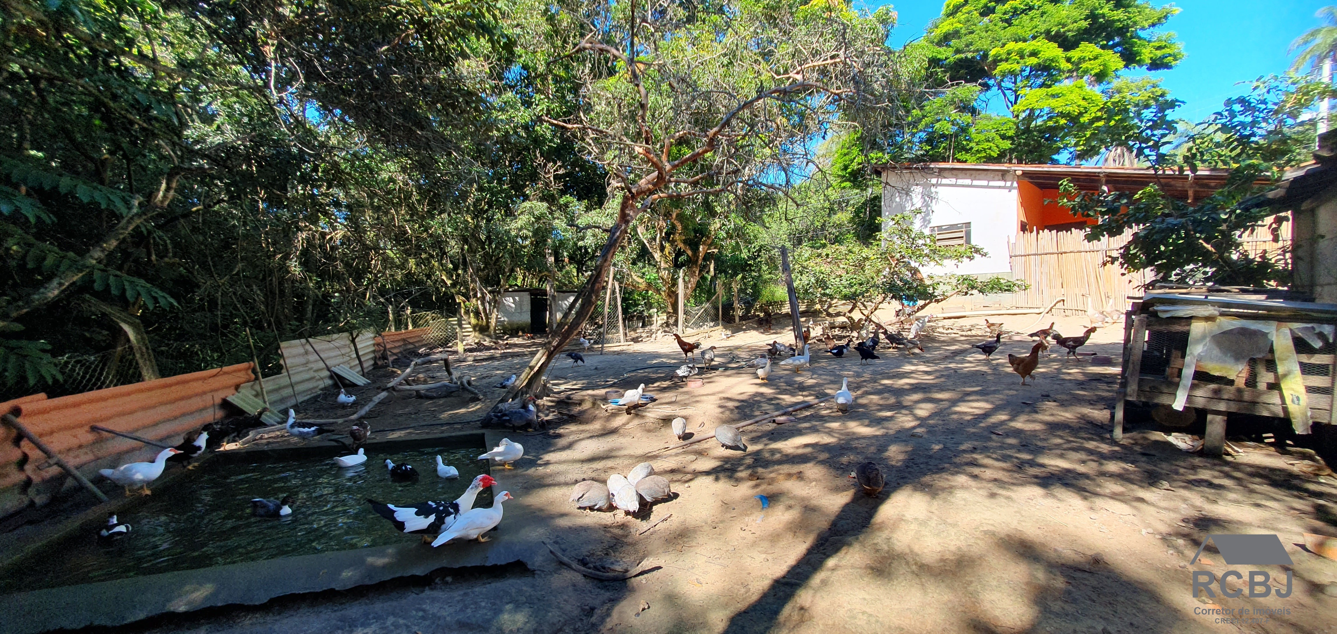 Sitio rural em esmeraldas - mg, parque do girassol