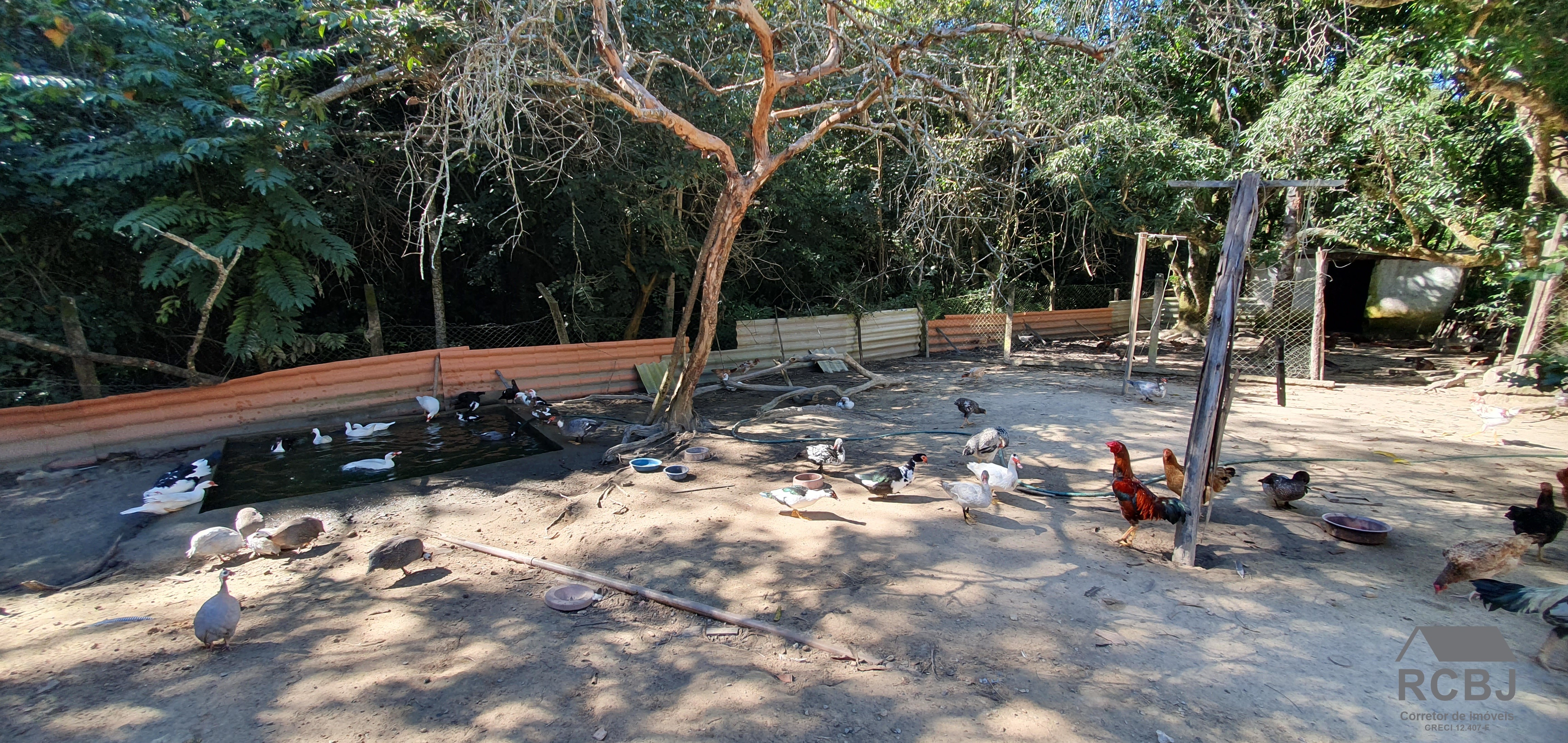 Sitio rural em esmeraldas - mg, parque do girassol
