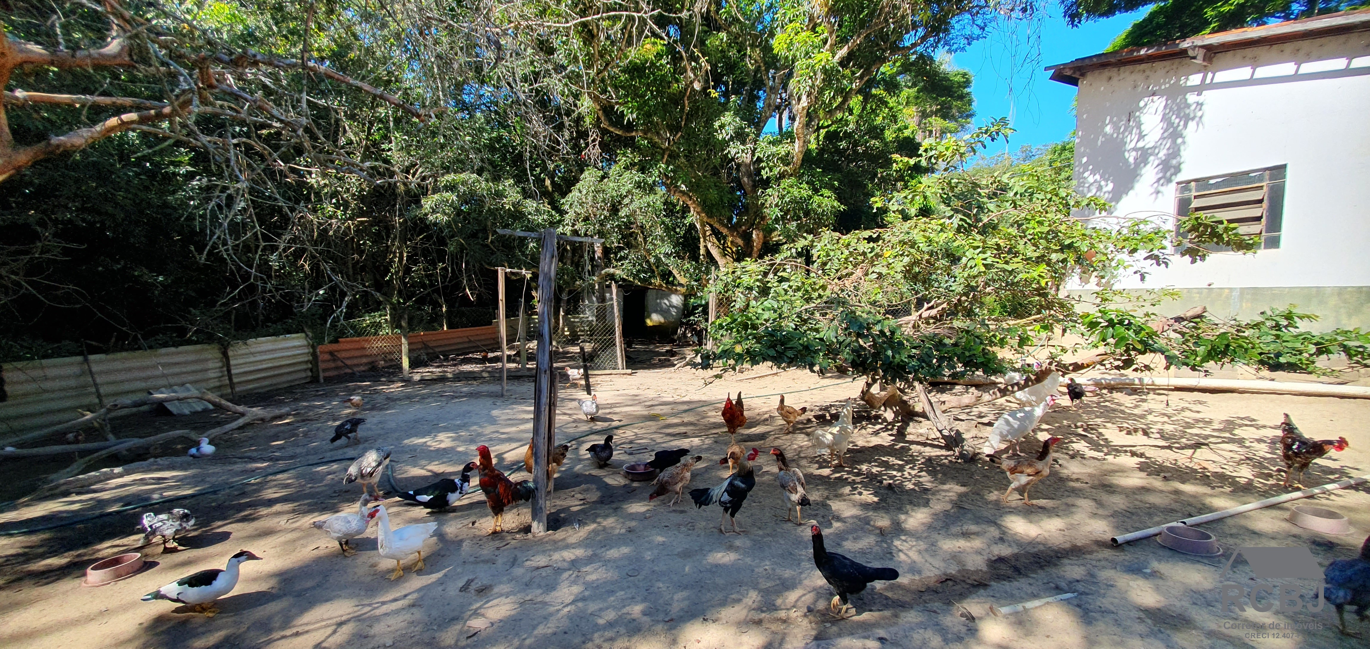 Sitio rural em esmeraldas - mg, parque do girassol