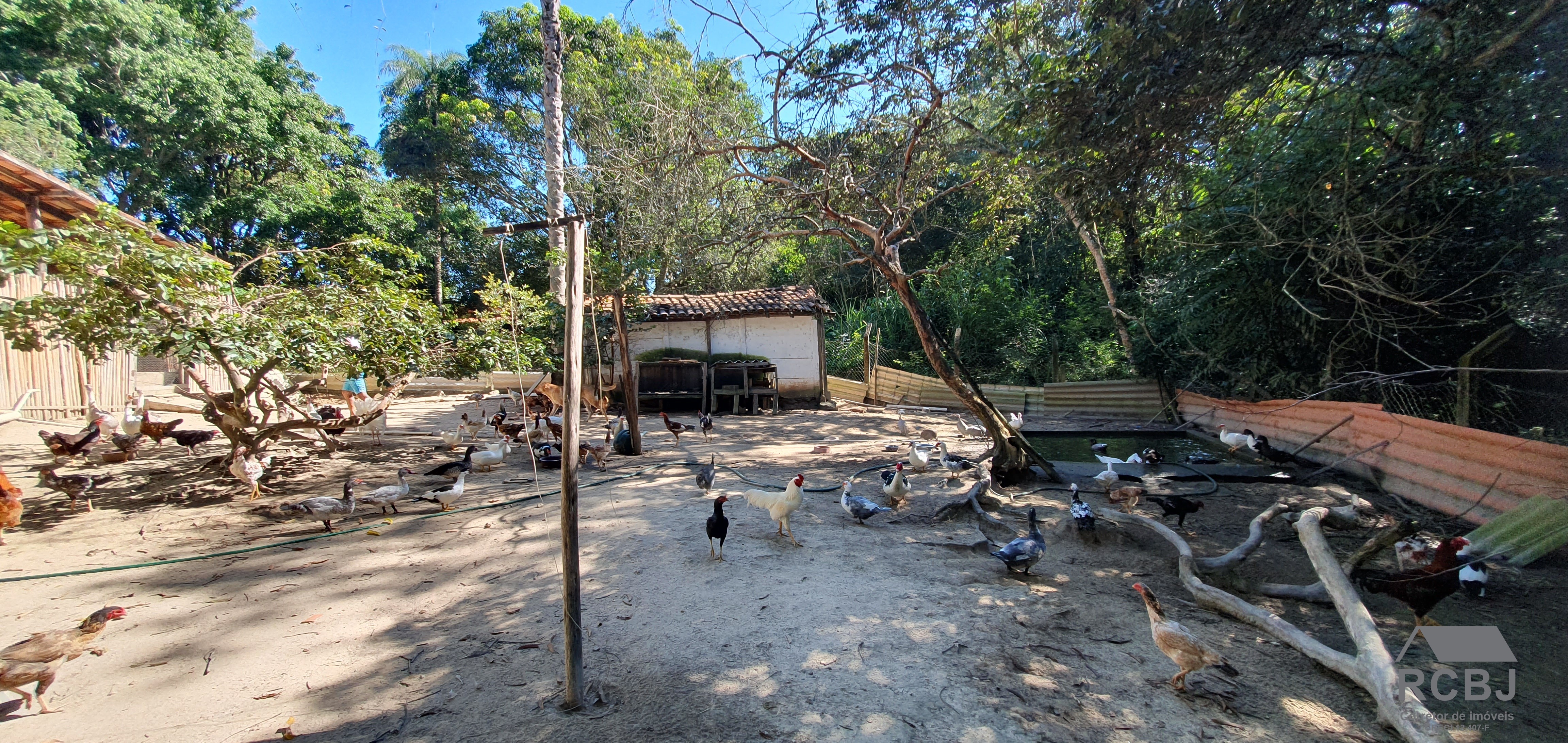 Sitio rural em esmeraldas - mg, parque do girassol