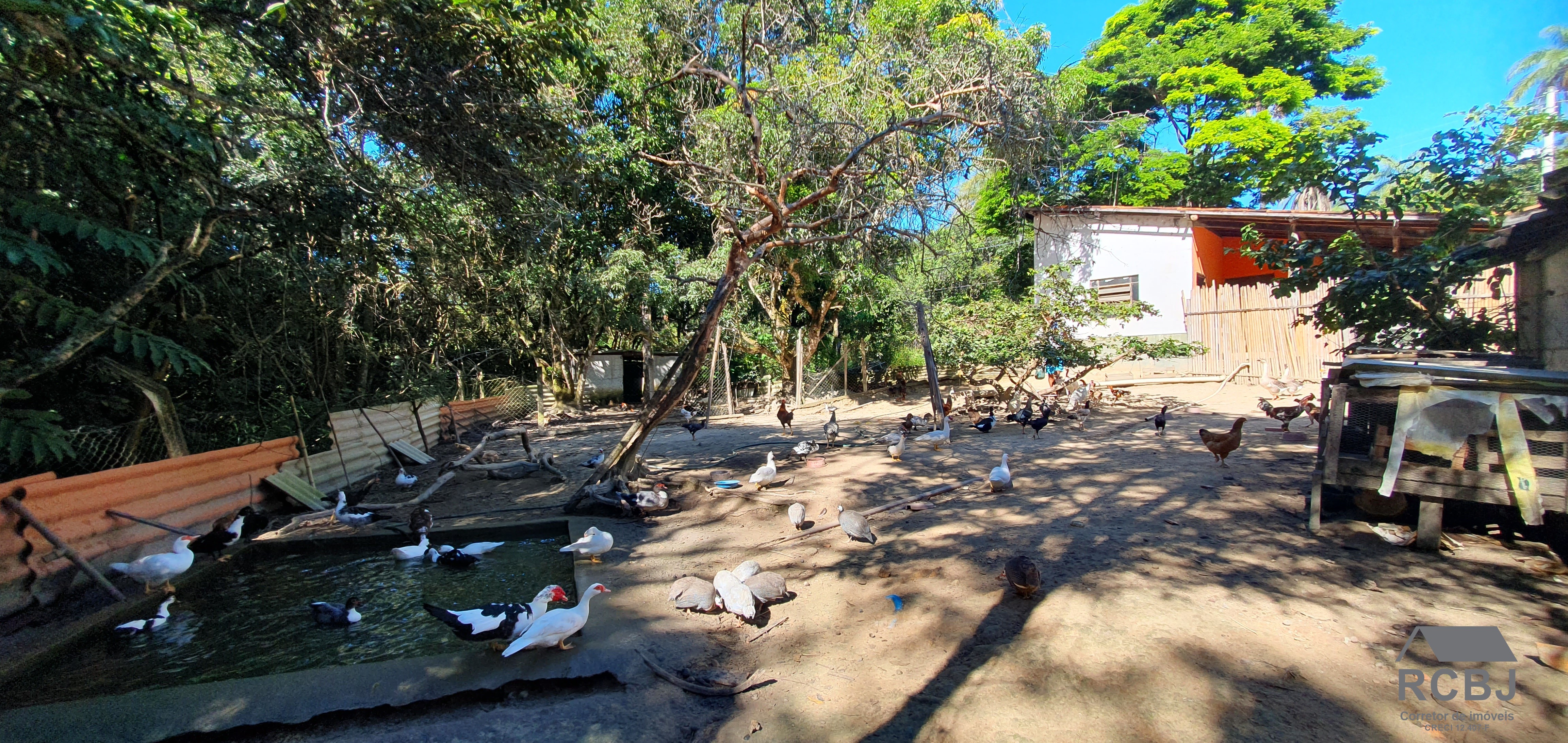 Sitio rural em esmeraldas - mg, parque do girassol
