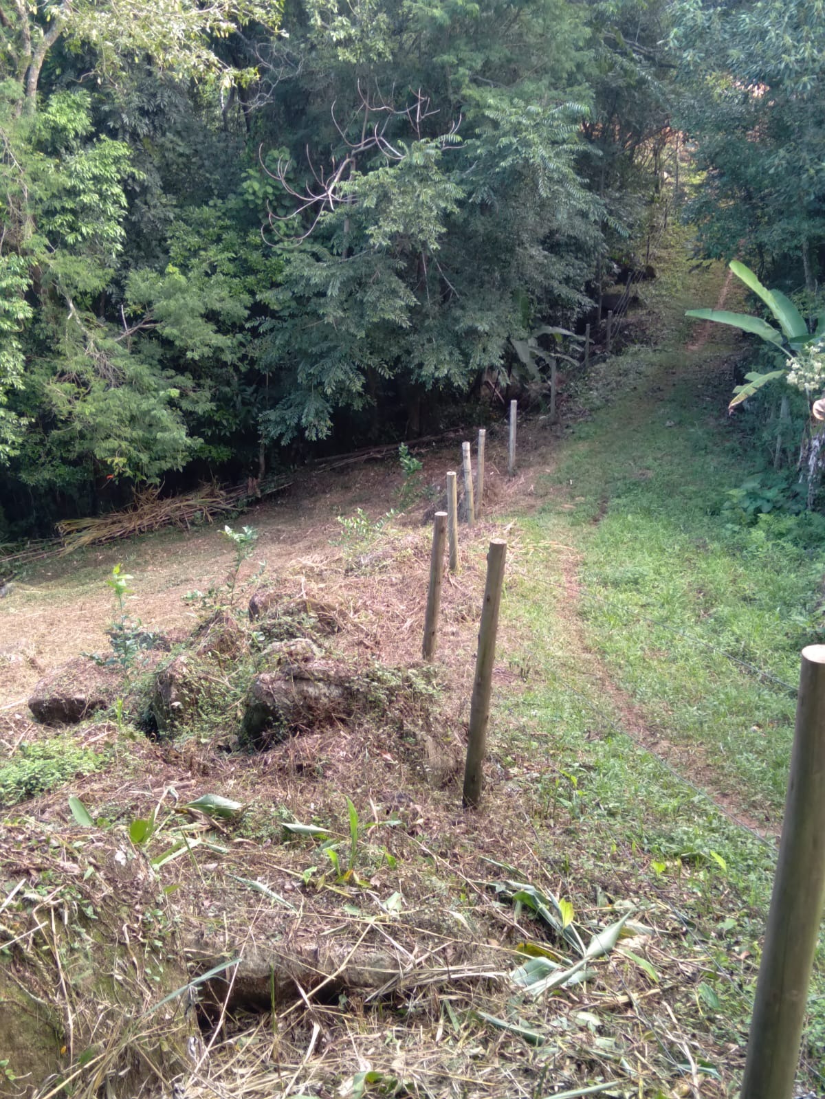 Terreno, 3367 m² - Foto 19