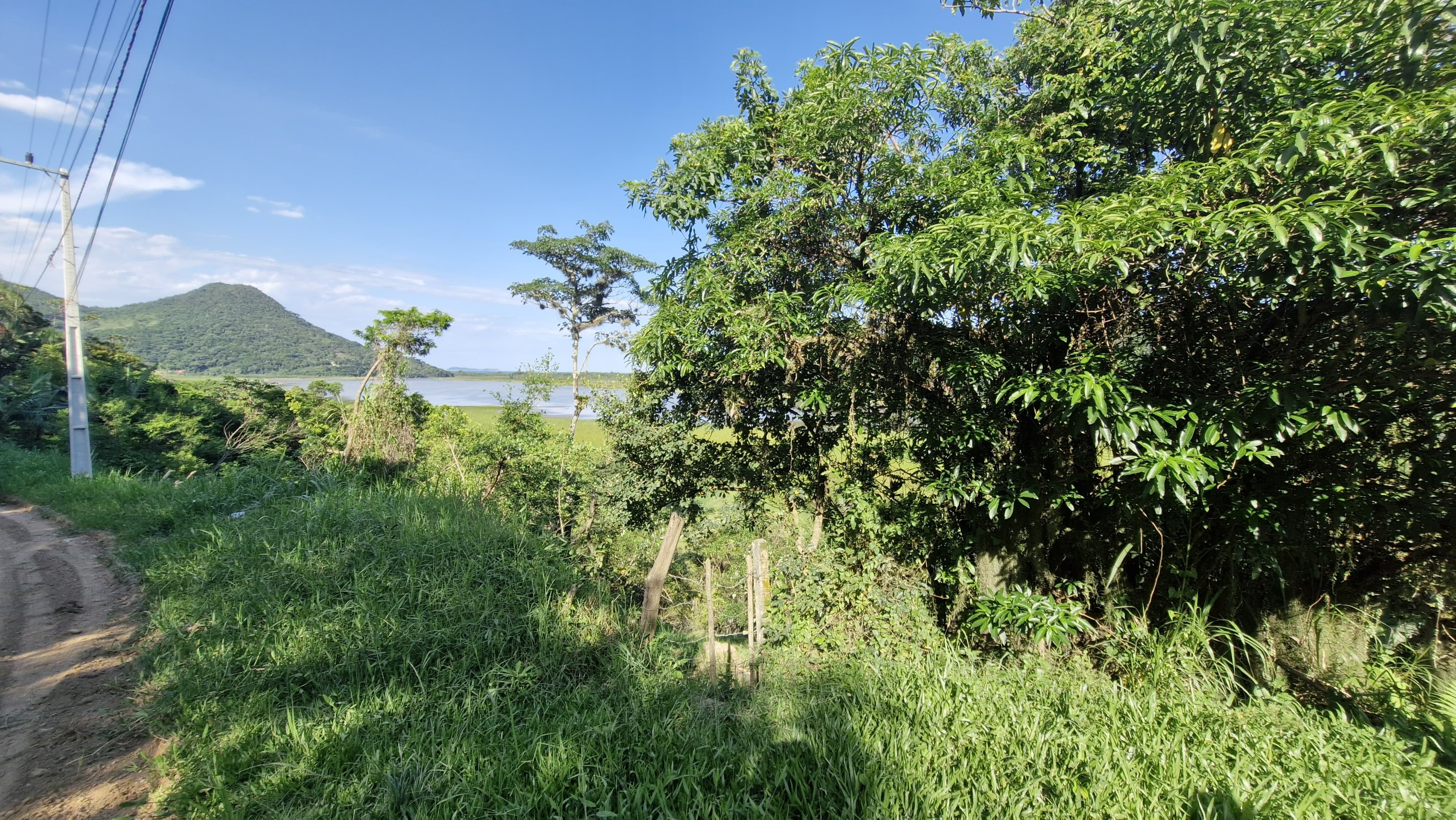 Terreno, 1 hectares - Foto 11