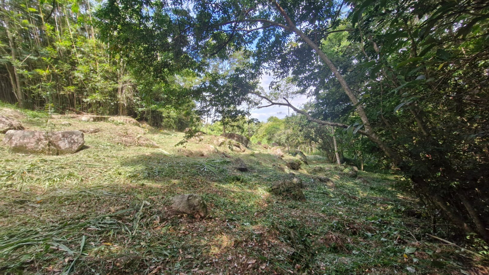 Terreno, 1728 m² - Foto 14