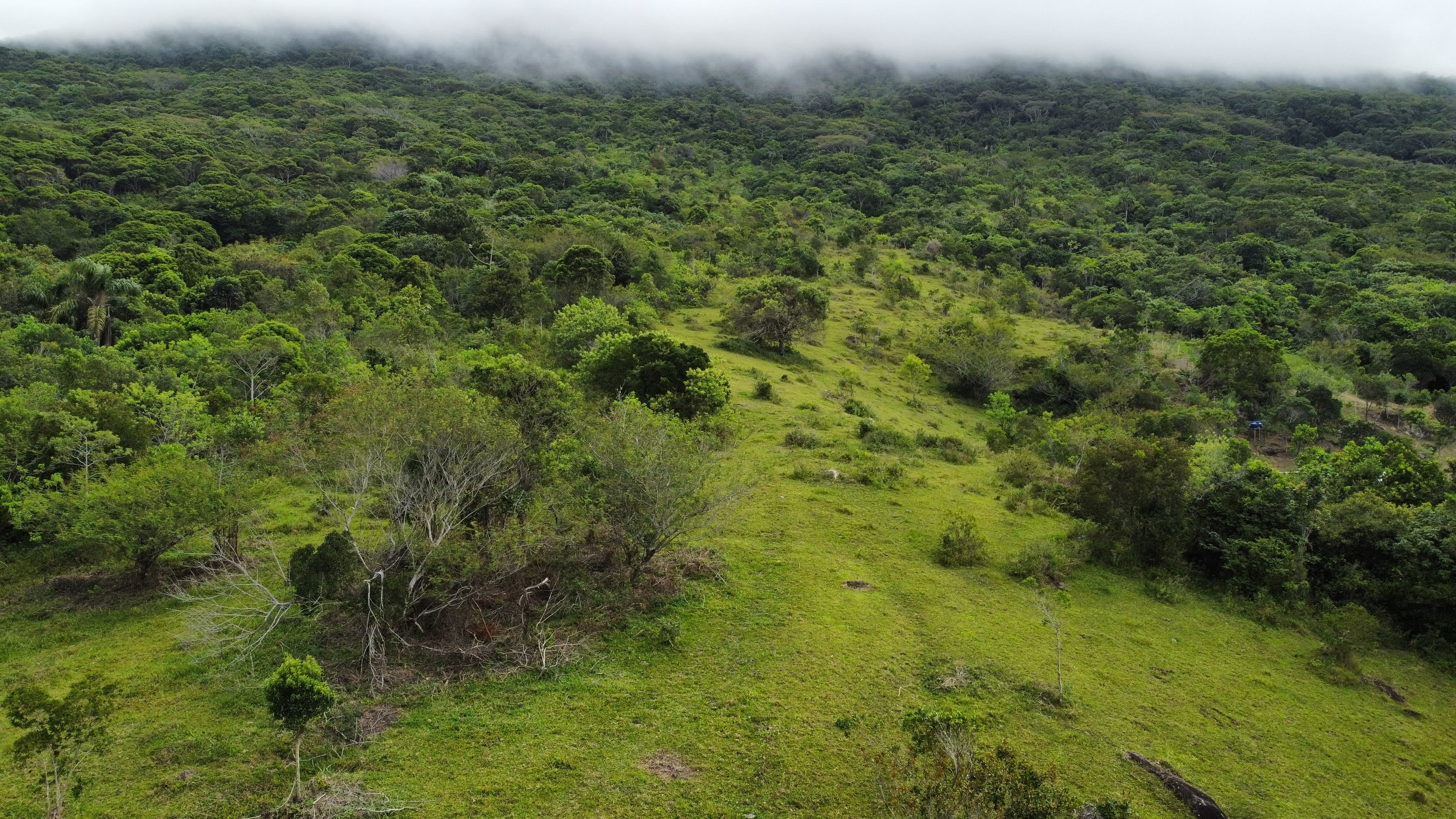 Terreno, 9 hectares - Foto 14
