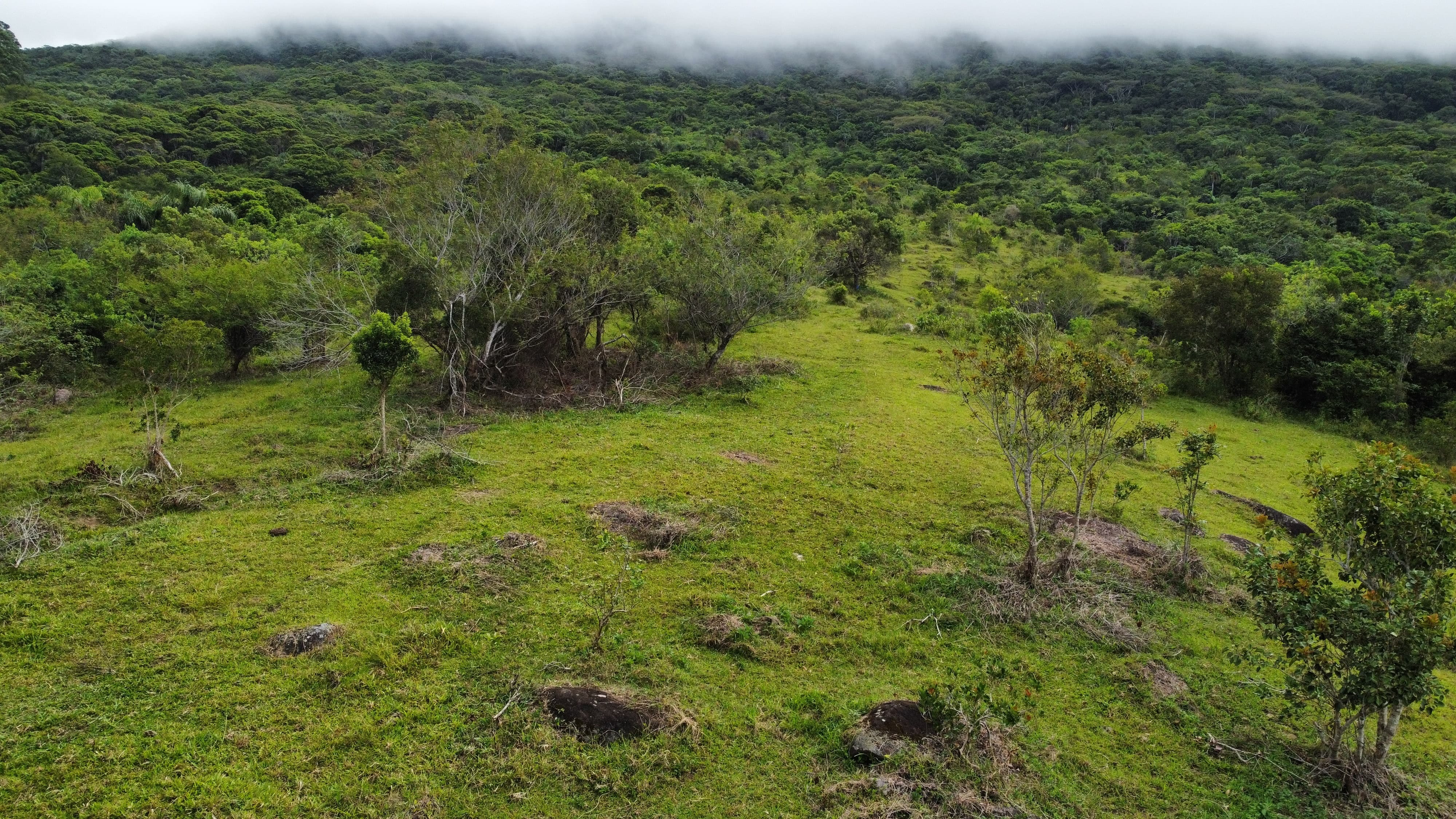 Terreno, 9 hectares - Foto 13
