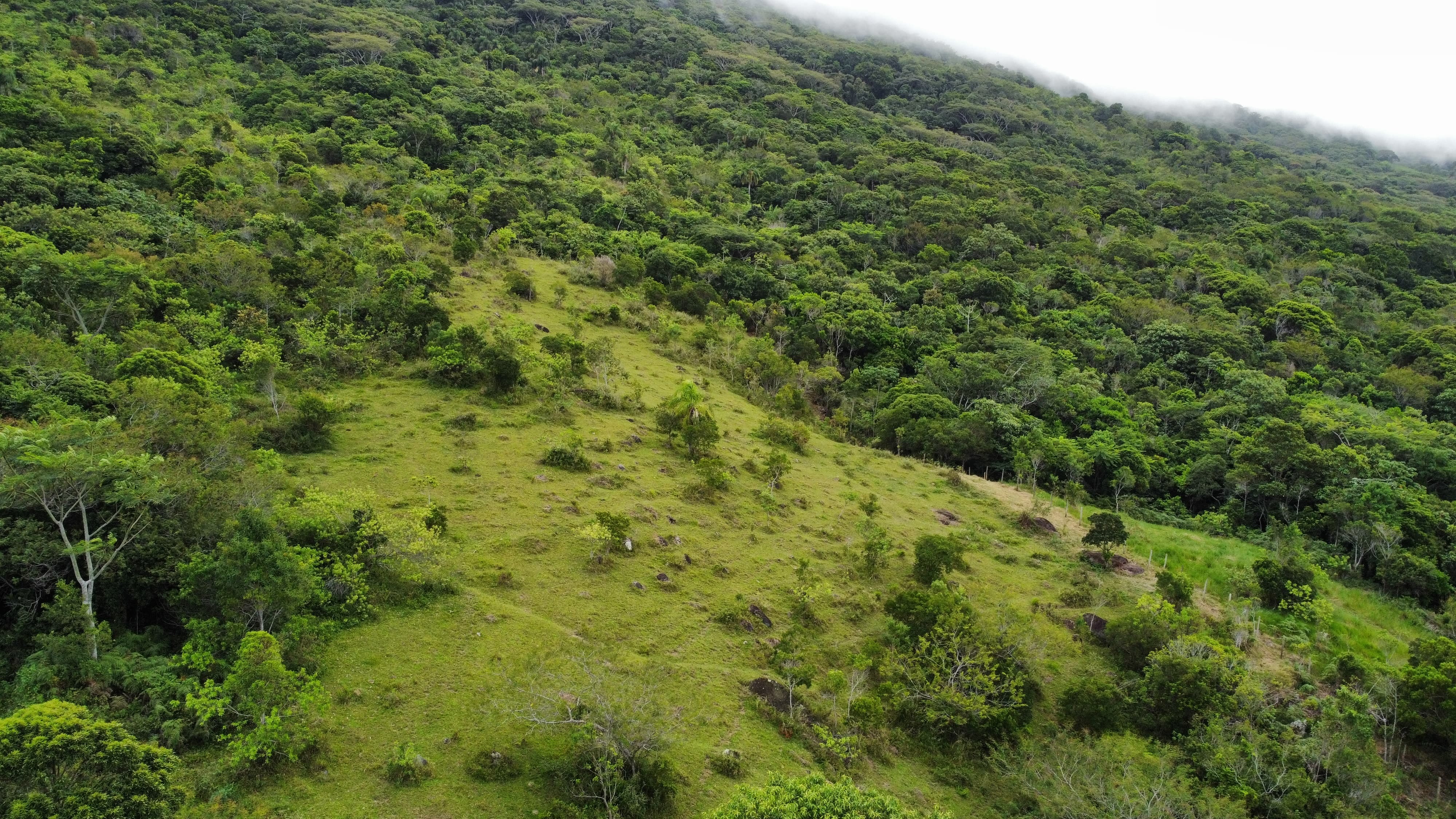 Terreno, 9 hectares - Foto 12