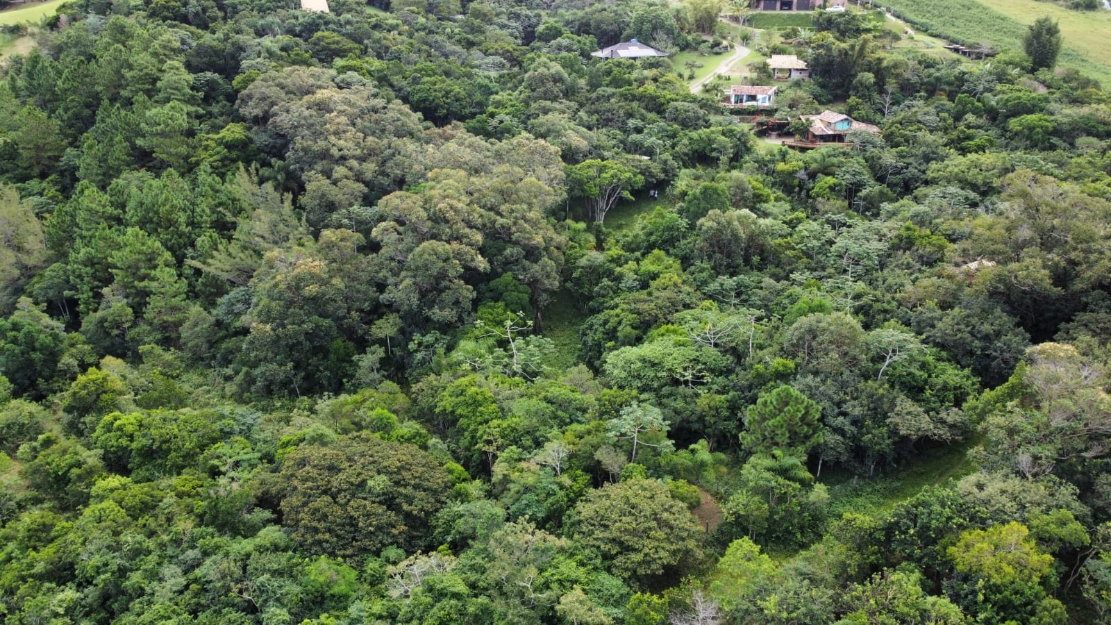Terreno, 1500 m² - Foto 12