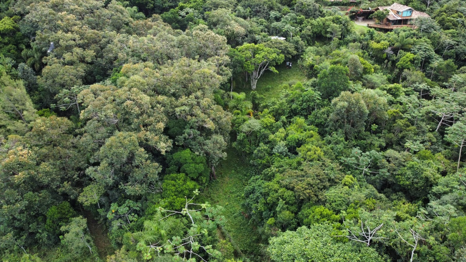 Terreno, 1500 m² - Foto 11