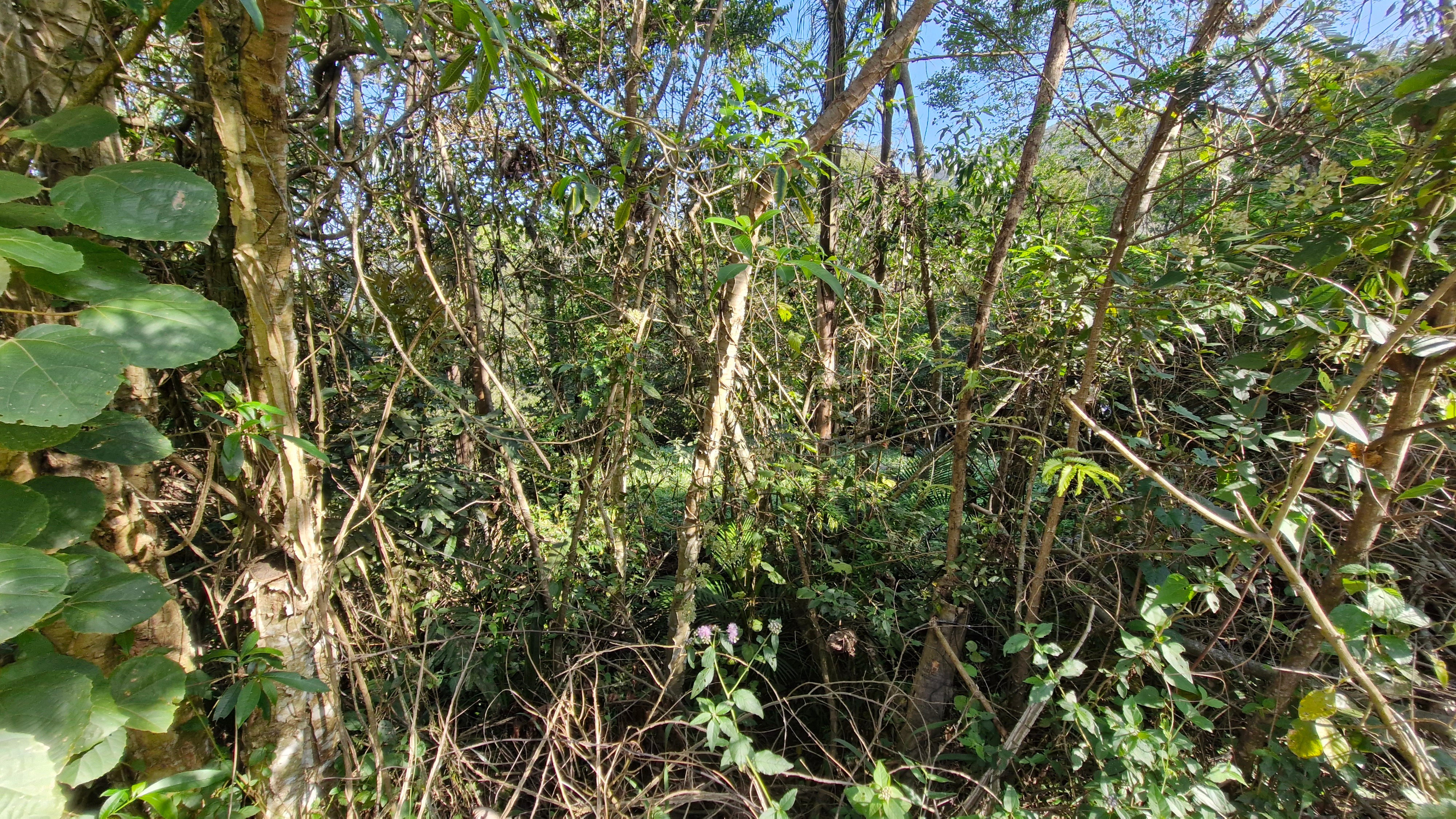 Terreno, 700 m² - Foto 15